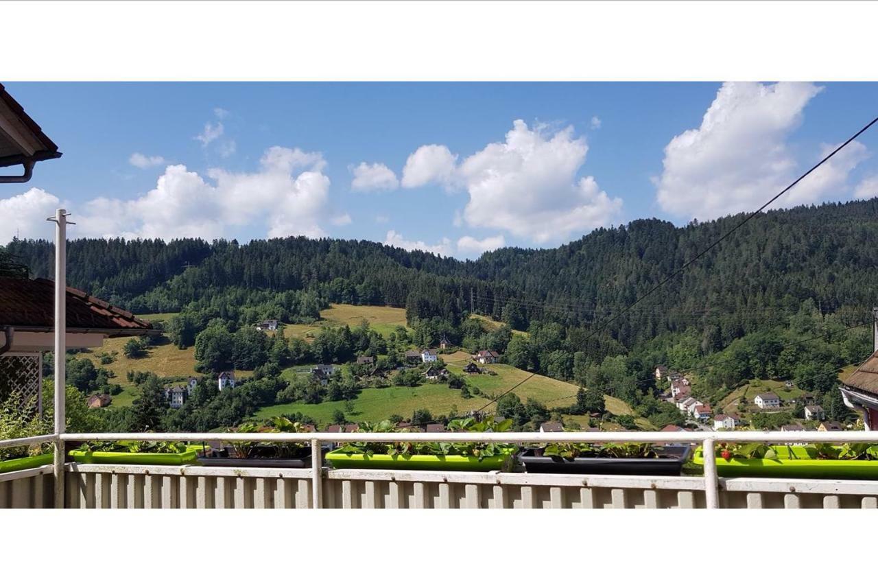 Talstadtblick Schramberg Ngoại thất bức ảnh