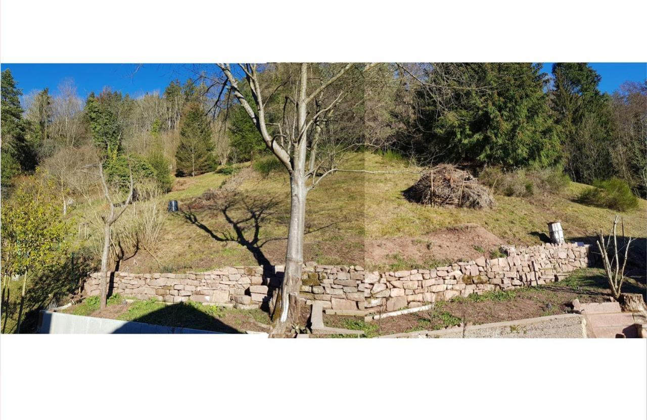 Talstadtblick Schramberg Ngoại thất bức ảnh